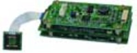 OEM Color Remote Head Board Camera